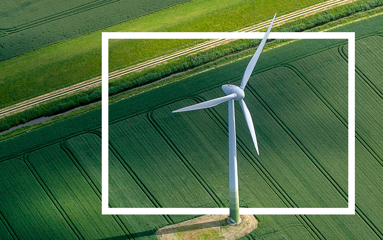 Windmill green grass Brands In Motion China 2023